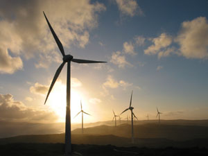 photo of windfarm
